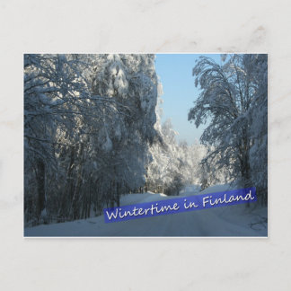 Wintery Country Road Postcard