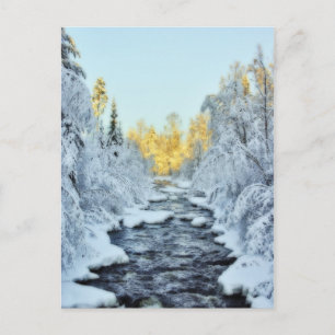 Wintery Stream Postcard
