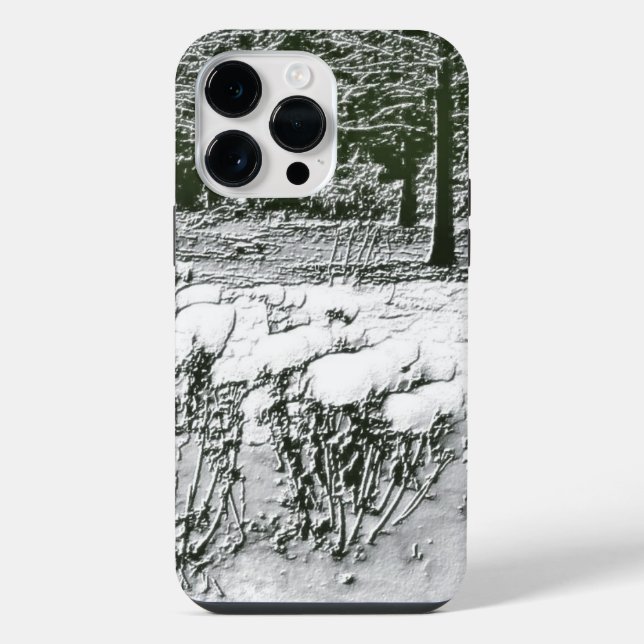 Wintry Park  iPhone Case (Back)