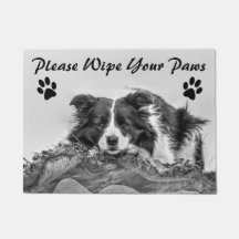 Wipe Your Paws