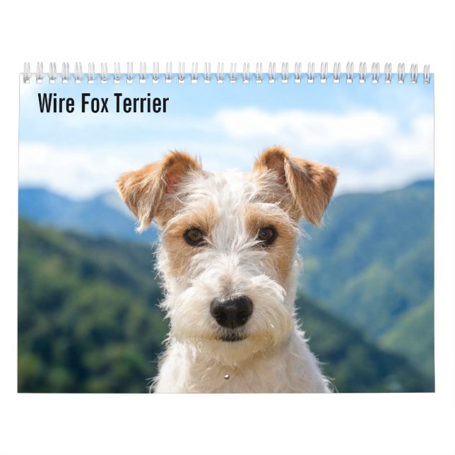 Wire Fox Terrier 2027 Calendar (Cover)