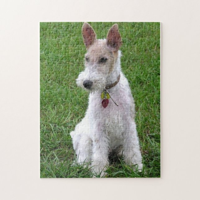 wire fox terrier sitting jigsaw puzzle (Vertical)