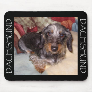 Wire Hair Dachshund Mouse Pad