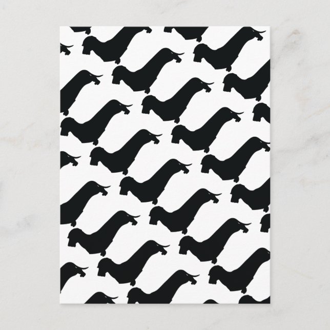 Wire Hair Dachshund Postcard (Front)