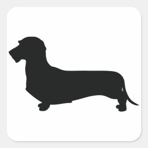 Wire Hair Dachshund Square Sticker