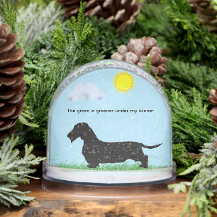 Wire Hair Dachshunnd Snow Globe
