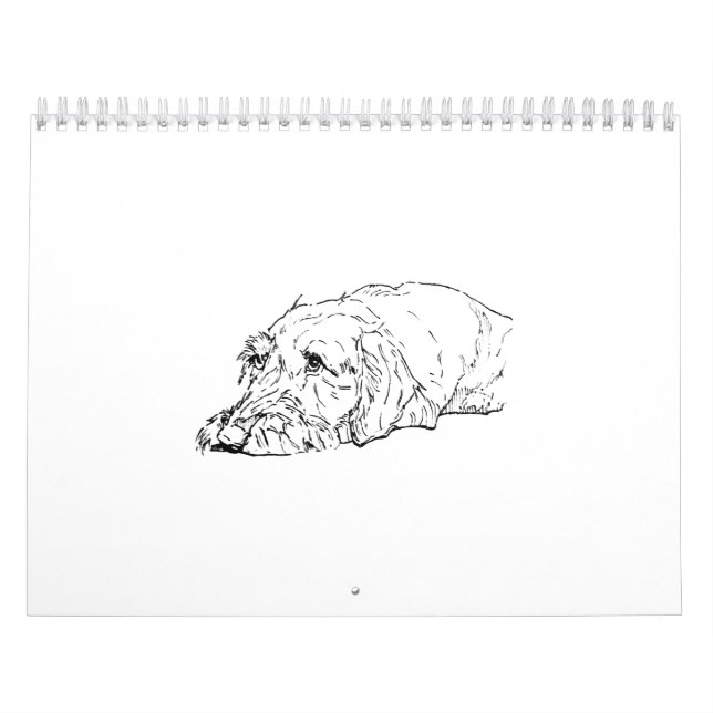 Wire Haired Dachshund 2027 Calendar (Cover)