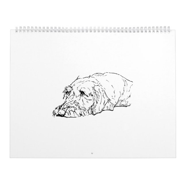 Wire Haired Dachshund 2027 Calendar (Cover)