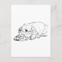 Wire Haired Dachshund Art - Cute