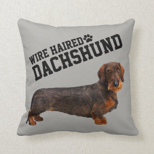 Wire Haired Dachshund Illustrated Pillow