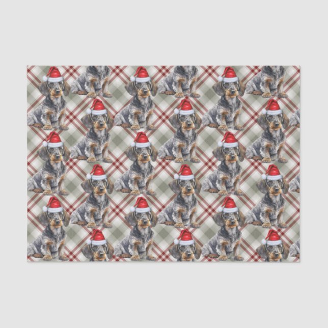 Wire Haired Dachshund Santa Dog Plaid Christmas Tissue Paper (Front)