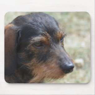 Wire Haired Daschund Dog Mouse Mat