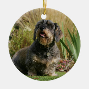 Wire-haired Standard Dachshund Ceramic Tree Decoration