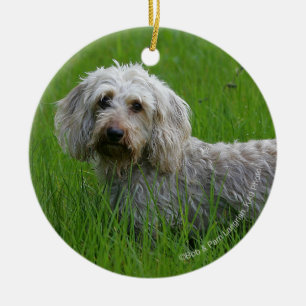 Wire-haired Standard Dachshund in Grass Ceramic Tree Decoration