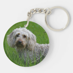 Wire-haired Standard Dachshund in Grass Key Ring
