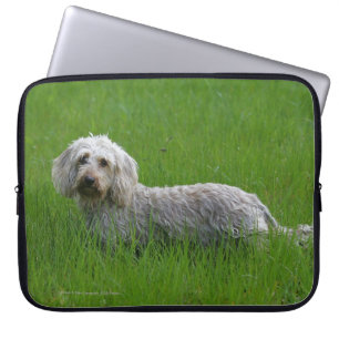 Wire-haired Standard Dachshund in Grass Laptop Sleeve