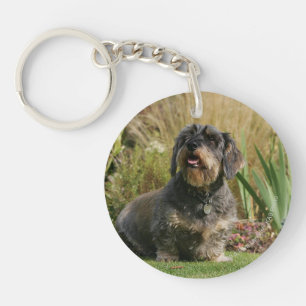 Wire-haired Standard Dachshund Key Ring
