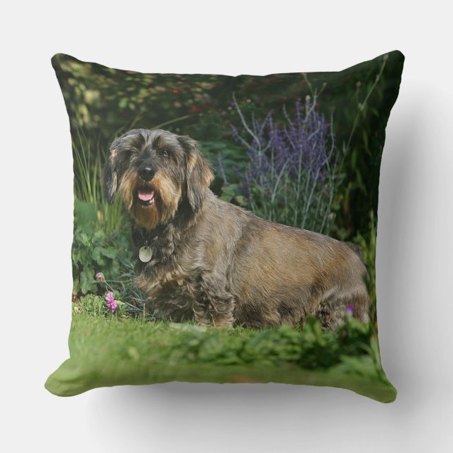 Wire-haired Standard Dachshund Sitting Cushion (Front)