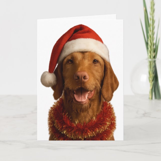 Wire haired Vizsla in a Santa hat Christmas card (Front)