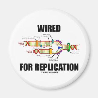 Wired For Replication (DNA Replication) Magnet