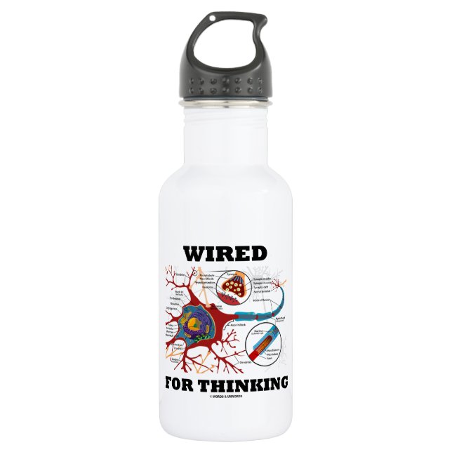 Wired For Thinking (Neuron Synapse) 532 Ml Water Bottle (Front)