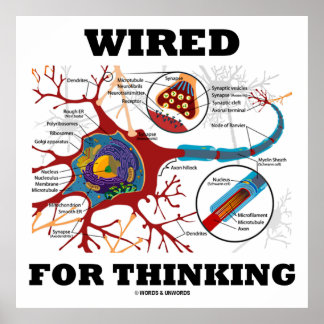 Wired For Thinking (Neuron Synapse) Poster