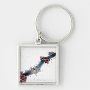 Wireframe microscopic view of candida albicans key ring