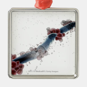 Wireframe microscopic view of candida albicans metal tree decoration