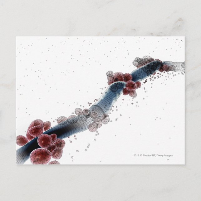 Wireframe microscopic view of candida albicans postcard (Front)