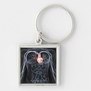 Wireframe of the blood vessels in the upper body key ring