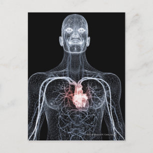 Wireframe of the blood vessels in the upper body postcard