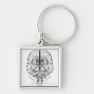 Wireframe of the brain key ring