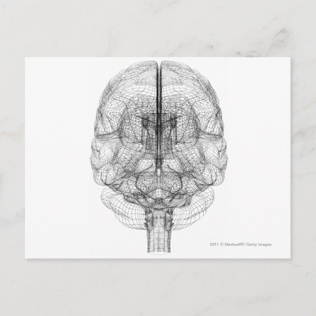 Wireframe of the brain postcard (Front)