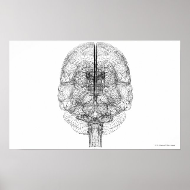 Wireframe of the brain poster (Front)