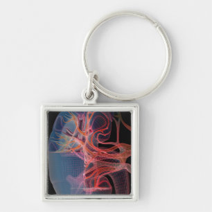 Wireframe of the inside of a kidney key ring