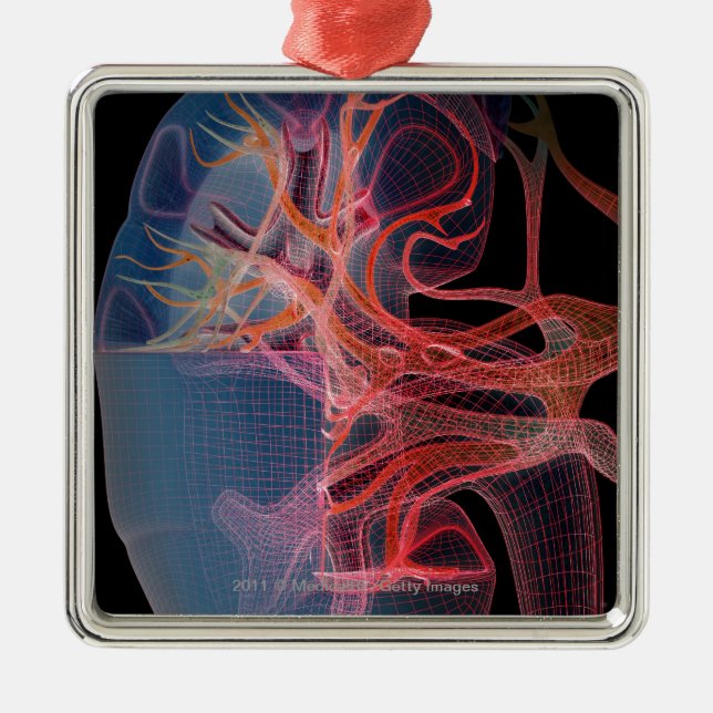 Wireframe of the inside of a kidney metal tree decoration (Front)