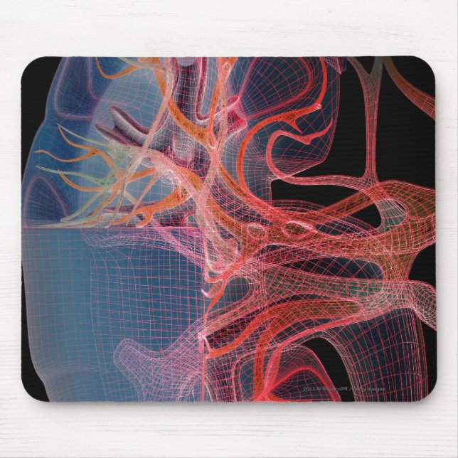 Wireframe of the inside of a kidney mouse mat (Front)