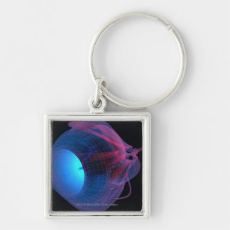 Wireframe of the muscles of the eye key ring