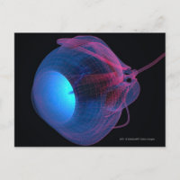 Wireframe of the muscles of the eye