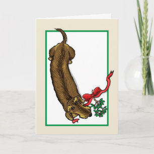 Wirehair Dachshund Christmas Card