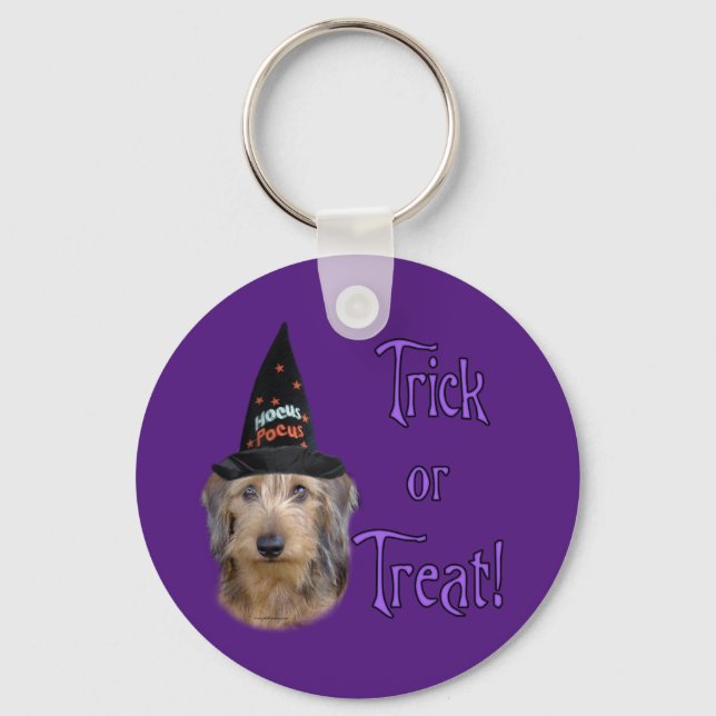 Wirehair Dachshund Trick Key Ring (Front)