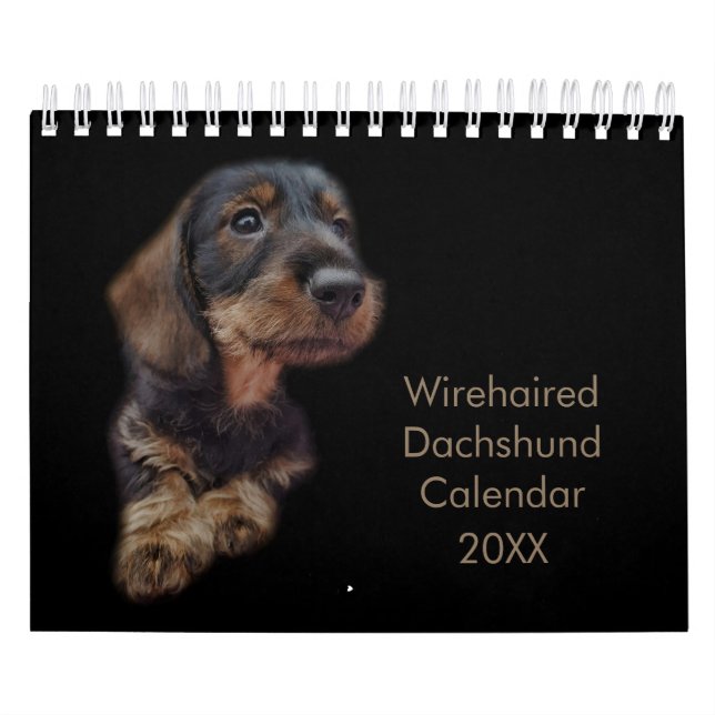 Wirehaired Dachshund Calendar (Cover)