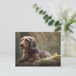 Wirehaired Dachshund in Forest Postcard