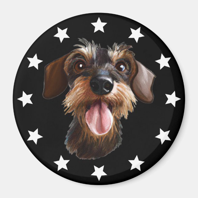 Wirehaired Dachshund Stars Magnet (Front)