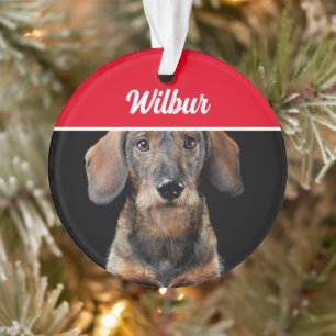 Wirehaired Dachshund with Name and Photo Christmas Ornament