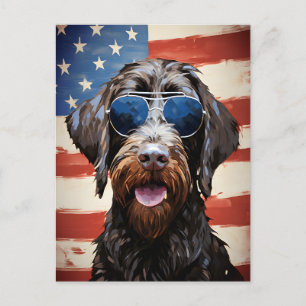 Wirehaired Pointing Griffon 4th of July Independen Postcard