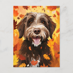 Wirehaired pointing griffon Autumn Thanksgiving  Postcard
