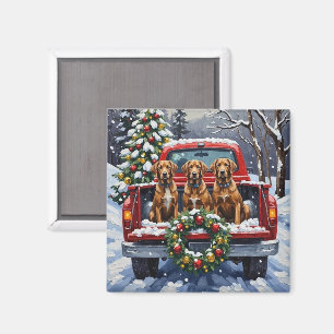 Wirehaired Pointing Griffon Christmas Red Truck Magnet