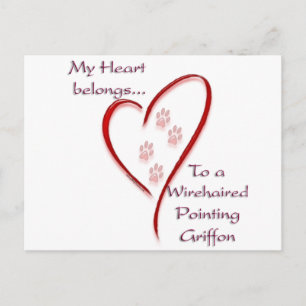 Wirehaired Pointing Griffon Heart Belongs Postcard