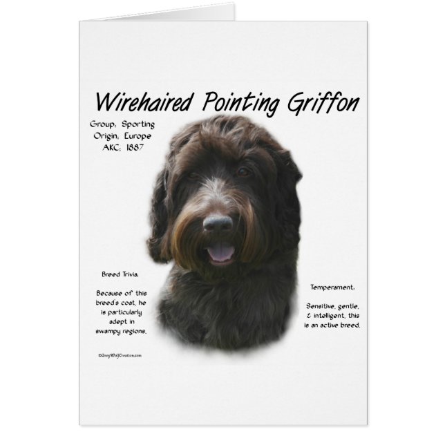 Wirehaired Pointing Griffon History Design (Front)